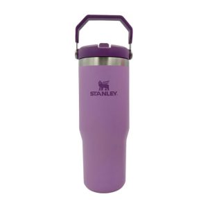 VASO TERMICO STANLEY 10-10827-900 VIOLETA VI 887ML