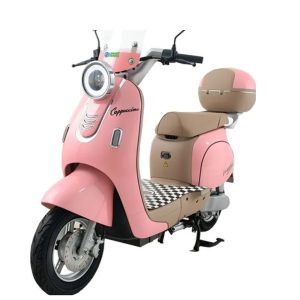 MOTO ELECTRICA SMART WHEEL CAPUCCINO/10"/800W/E-B