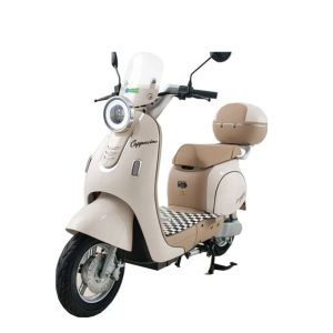 MOTO ELECTRICA SMART WHEEL CAPUCCINO/10"/800W/E-B
