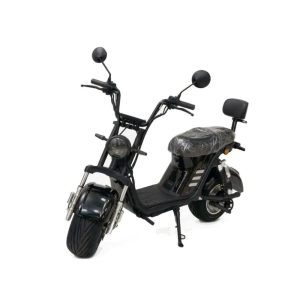 MOTO ELECTRICA MATRIX Y2-X21 1000W/E-BIKE/MOTOCICL
